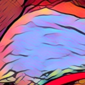 Meet your Posher, Gia